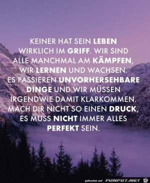 Es-muss-nicht-immer-alles-perfekt-sein.jpg auf www.funpot.net