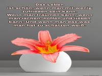 das leben ist schn, wenn man