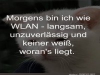 Morgens bin ich wie WLAN