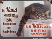 Unterschied zwischen Hund....