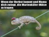 weiter