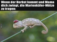 Chameleon's Fall Fashion Dilemma