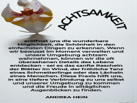 achtsamkeit erffnet