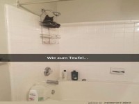 Fledermaus im Badezimmer-Chaos