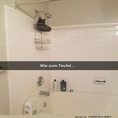 Fledermaus-im-Badezimmer-Chaos.jpg von Phil-1986