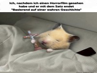 Gruseliger Hamster schl�gt zur�ck