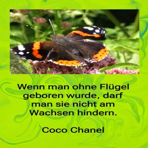 wenn-man-ohne-fl�gel.jpg von Fabioma