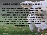 Hund schickt Frauchen in den Freizeitmodus