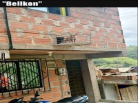 Der Hund auf dem Mini-Balkon!