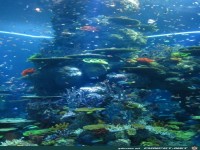 fuer Bildgenerator freigegeben 002106