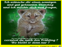 Vermisst du auch den Fruehling