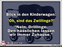 Blick-in-den-Kinderwagen
