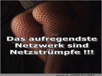 Netzstruempfe