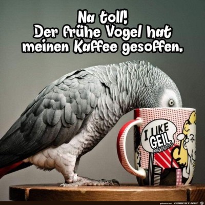 Na-toll.jpg von Keule56