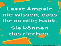 Ampeln können das riechen