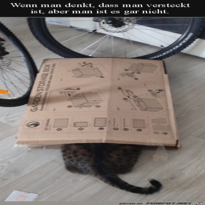 Super-versteckt.jpg von Ava