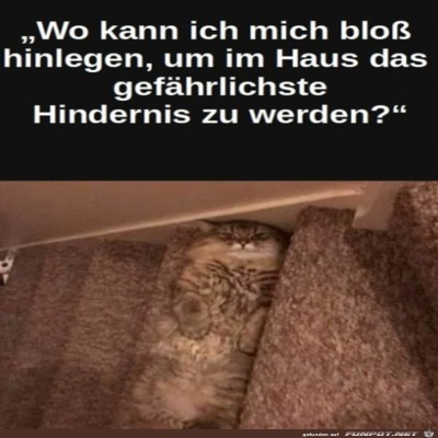 Stolperfalle.jpg von Lillian