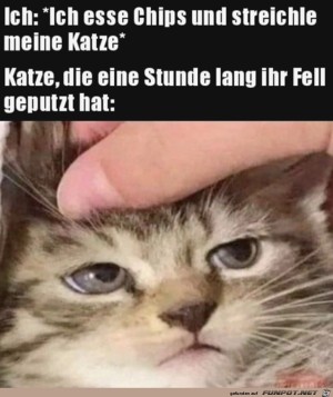 Dieser-Blick.jpg auf www.funpot.net