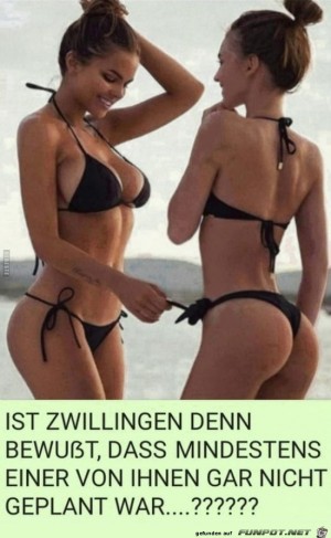 Zwillinge.jpg auf www.funpot.net