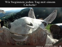 Den Tag mit einem Lcheln beginnen
