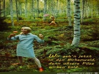 Der Birkenwald