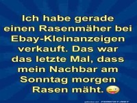 Rasenmäher