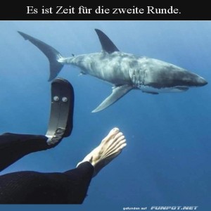 fun-Bild: Eine zweite Runde