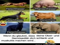 K�nnte daneben gehen