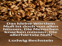 das kleine wrtlein muss