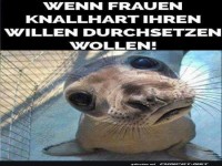 See-Hund mit Durchsetzungsverm�gen