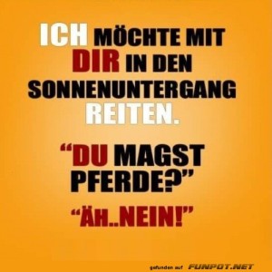 Pferde.jpg von Schneeflittchen