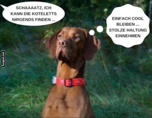 fun-Bild: Wenn Frauchen die Koteletts sucht