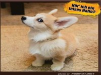 Ein leises Hallo f�r mich?