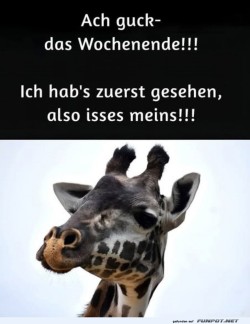 Wochenausblick-aus-Giraffenperspektive.jpg auf www.funpot.net