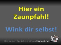 Ein Zaunpfahl voller Selbstironie
