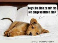 Legst du dich zu mir?