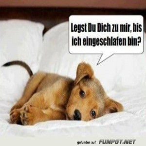 Legst-du-dich-zu-mir?.jpg von Mareike-21