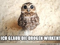 ich glaub die Drogen wirken