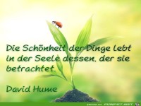 Die Schönheit der Dinge lebt in der Seele