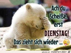 Erst-Dienstag.jpg auf www.funpot.net