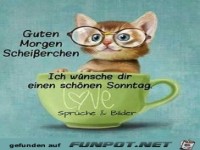Guten Morgen Scheisserchen