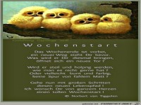 Wochenstart - Frhling - 2019