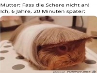 Fass die Schere nicht an