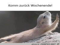 Wochenende komm zurück
