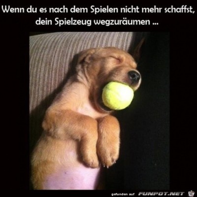 M&uuml;der-Welpe.jpg von Runa