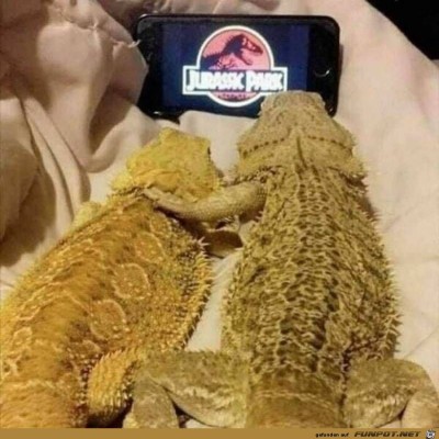 Film-gucken.jpg von Pius