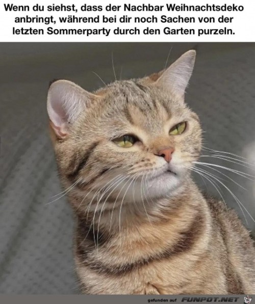 Noch-nicht-in-Weihnachtsstimmung.jpg auf www.funpot.net