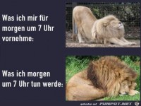 Vorhaben und Realit�t