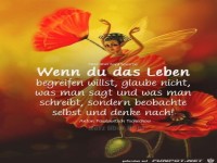 Wenn du das Leben begreifen willst