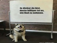 Hund und humorvolle Tafelbotschaft